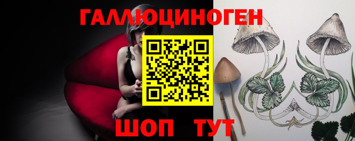 Верхняя Салда  Псилоцибиновые грибы MAGIC MUSHROOMS  Вход с VPN 