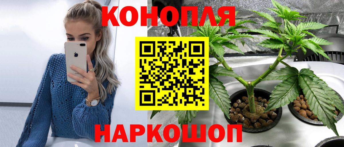 Бошки марихуана гибрид  МАРИХУАНА White Widow  Вход с VPN  Канабис THC 21%  Верхняя Салда 